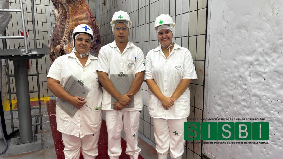 WhatsApp Image 2026-04-06 at 11.26.16