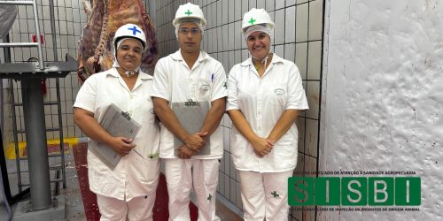 WhatsApp Image 2026-04-06 at 11.26.16