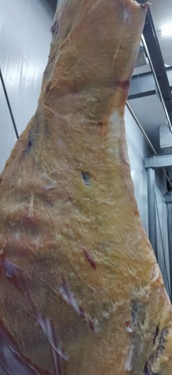 WhatsApp Image 2026-04-06 at 11.35.11 (2)