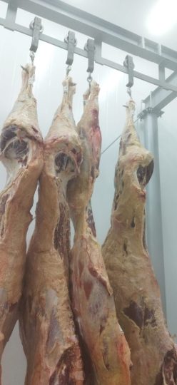 WhatsApp Image 2026-04-06 at 11.35.11